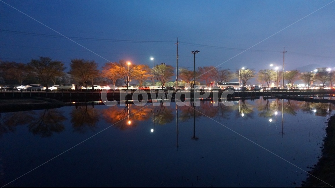 반사,조명,가로등,나무,야경,물가,reflection,lights,night,nightview,streetlight,streetlights,tree,inaraw,waterside,조용한,calm,quiet,silent,blue,bluesky,darksky,야경,밤,풍경,nightscape,night,landscape,교통,교통수단,traffic,transportation