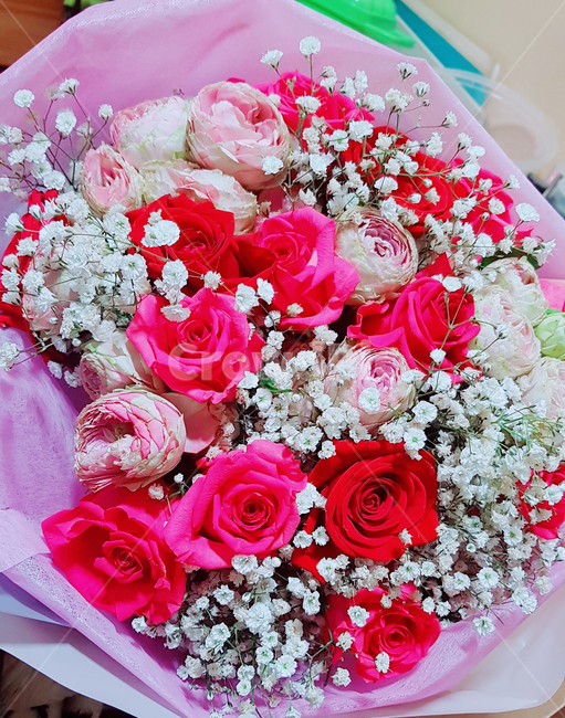 꽃,장미,식물,꽃다발,flower,rose,plant,flowerbouquet