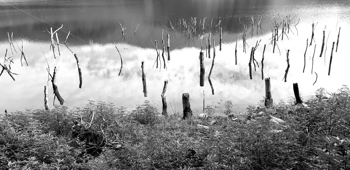 자연,물,nature,호수,흑백사진,흑백,모노톤,monochrome,black and white