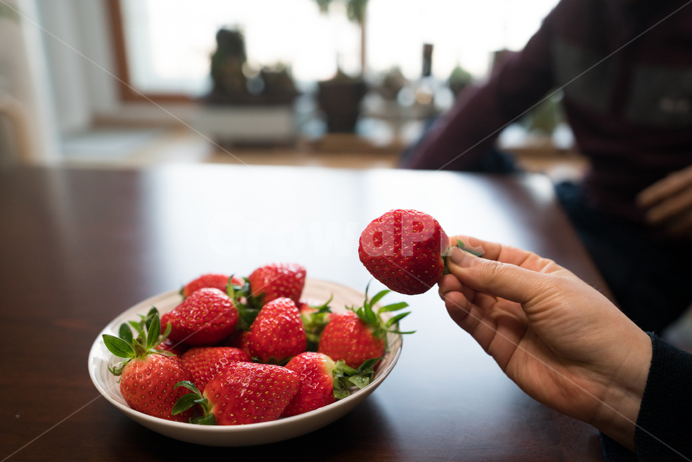 딸기,과일,식물,디저트,후식,빨강,레드,red,strawberry,food,음식,fruit,음식,식재료,요리,food,cook,meal,dishes,food reserves,과일,열매,fruit