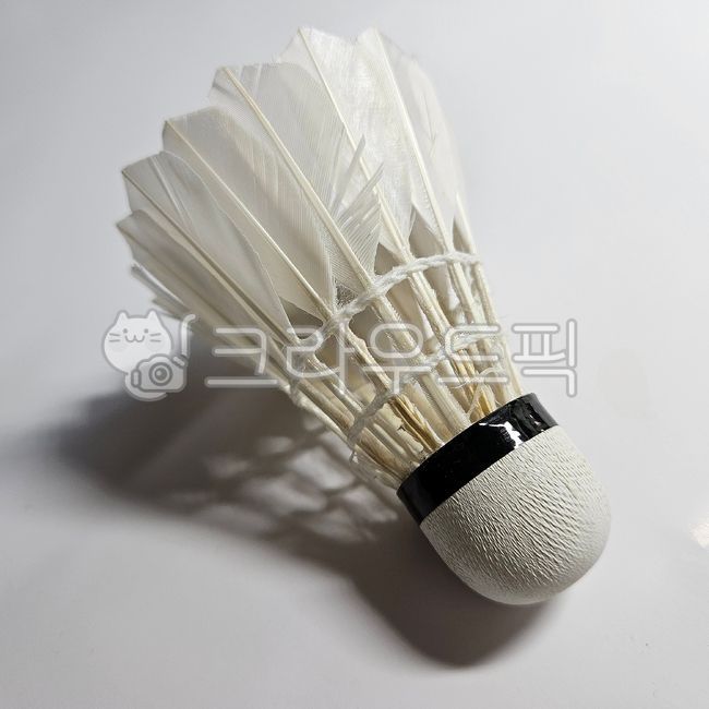 셔틀콕,배드민턴,스포츠,배드민턴공,sport,badminton