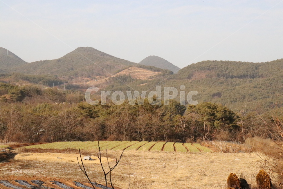 시골,산,밭,하늘,풍경