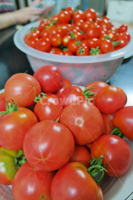 방울토마토,토마토,농작물,과일,채소,야채,먹거리,농산물,식물,작물,plant,red,빨강,신선,수확,열매,과일바구니