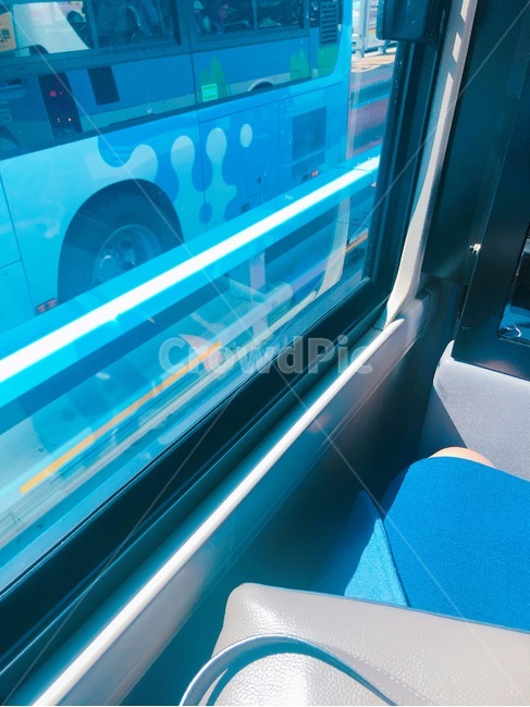 버스,햇빛,파란,맑은날씨,화창한날씨,교통,교통수단,traffic,transportation