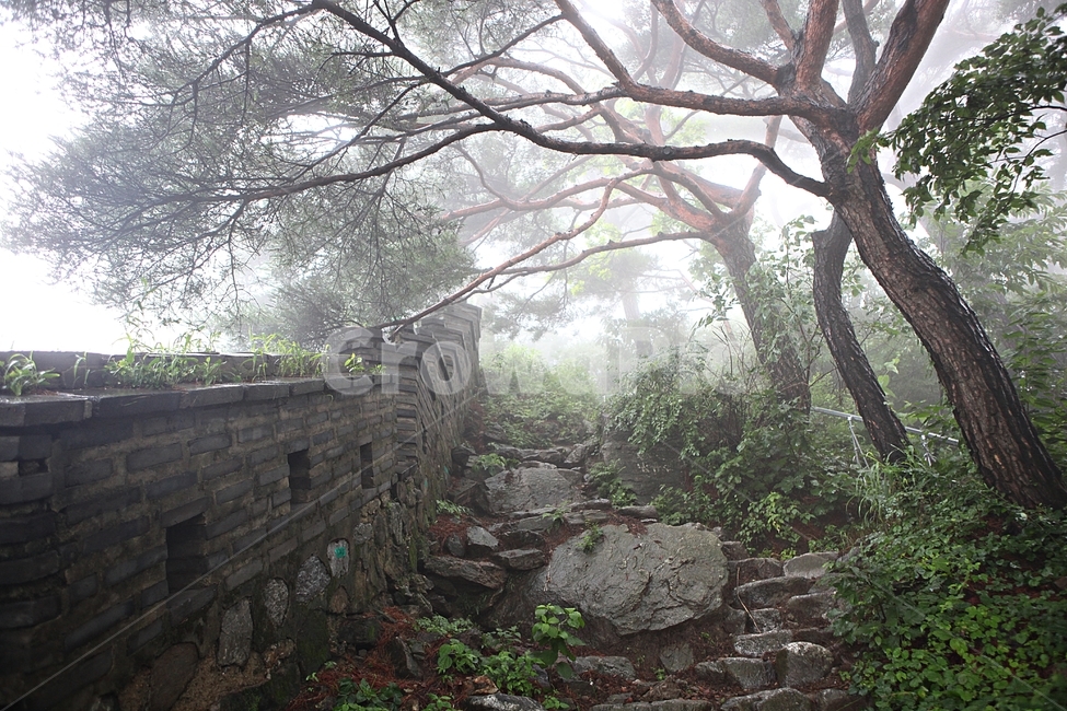남한산성,성,성곽,둘레길,길,숲,숲길,안개,돌담,담