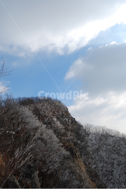 축령산,탐방로,휴양림,자연,겨울,겨울,계절,winter,season,자연,풍경,nature,landscape,한국자연풍경,한국자연경관,korea nature landscape,plant,식물,outdoors,옥외