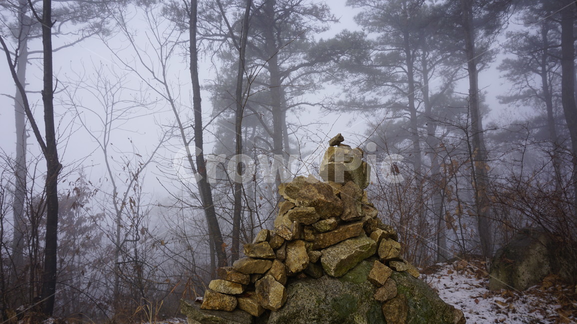 숲,나무,산,눈,안개,겨울,겨울,계절,winter,season,자연,풍경,nature,landscape,rubble,파편