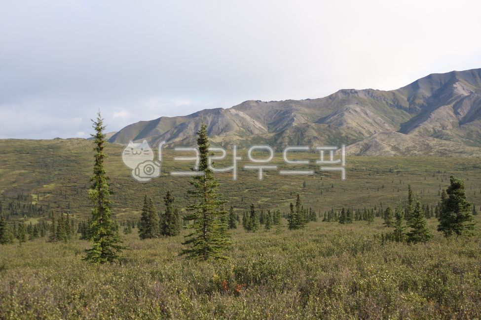 cloud,tundra,mountain,Denali National Park,nature,trekking,alaska,sight,Alaska,denalinationalpark