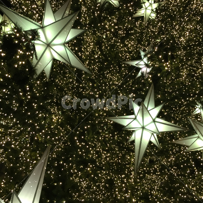별,조명,트리,겨울,반짝이는,밤,무드,로맨틱,별빛,빛나는,감성적,크리스마스,star,tree,light,christmas,romantic,winter,decorate,sensitive,겨울,계절,winter,season,야경,밤,풍경,nightscape,night,landscape,기념일,축하,anniversary,congratulation,celebrate,celebration,메리크리스마스,성탄절,merry christmas