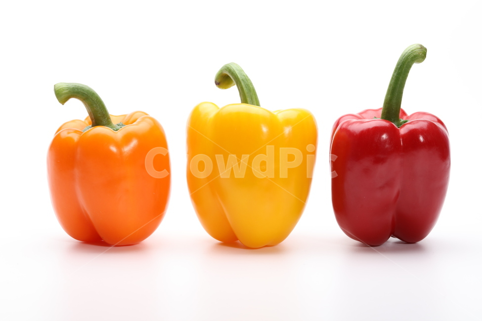 파프리카,채소,식재료,야채,노랑,빨강,음식,식재료,요리,food,cook,meal,dishes,food reserves,채소,야채,vegetables