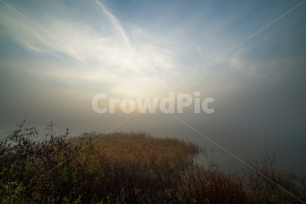 호수,새벽,풍경,안개,물안개,여명,자연,자연,풍경,nature,landscape,weather,날씨,outdoors,옥외
