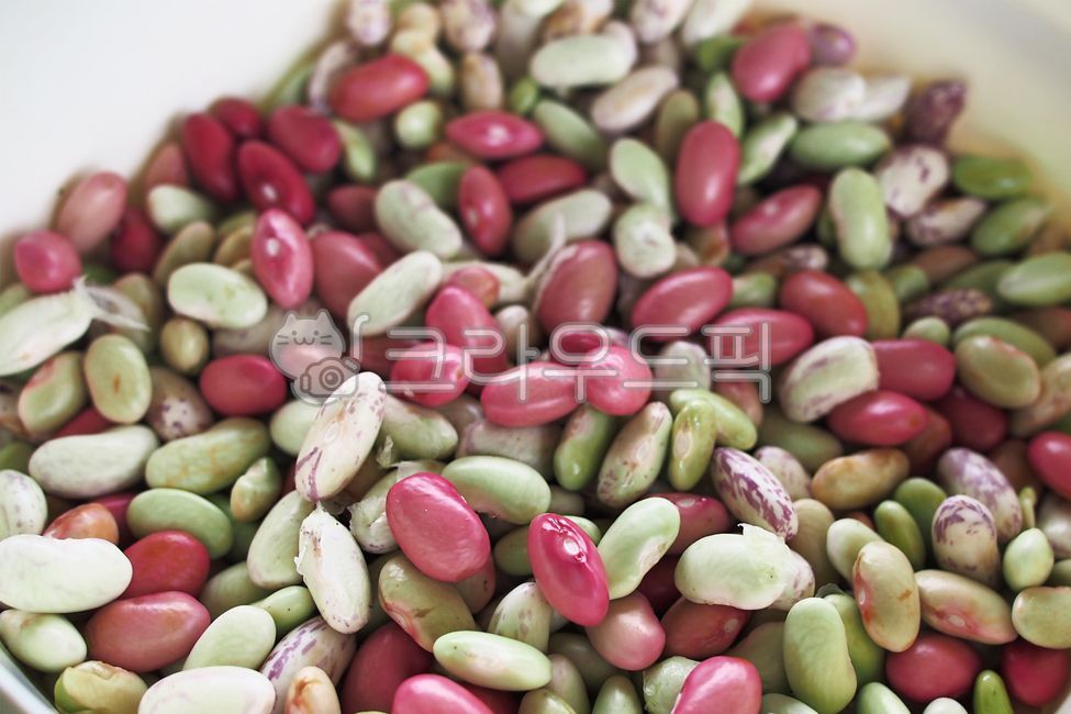 bean, 콩, food, 음식, 채소, 사진,이미지,일러스트,캘리그라피 - midnight작가