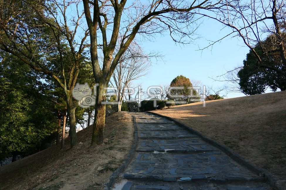 stone steps,blue sky,bluesky,air,Clean,scenic,trail,view,tree trunk,stonesteps,sight,treetrunk,views,landscapes,nature,walkingtrails,clear,tree,clean,blue,comfortable,fresh