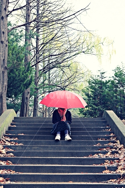 공원,인천대공원,빨강우산,풍경,자연,배경