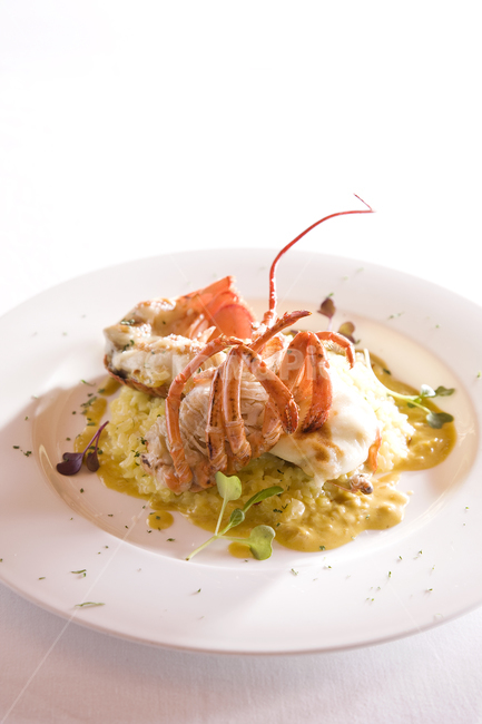 음식,배경,건강한,신선한,화이트,식사,근접촬영,녹색,맛있는,달콤한,유기,다이어트,레드,미식가,성분,과일,영양,자연,요리,야채,채식,저녁식사,먹기,나무,테이블,점심,건강,갈색,먹다,플레이트,노랑,신선도,전통,아침식사,색,접시,부엌,여름,레스토랑,음식,식재료,요리,food,cook,meal,dishes,food reserves