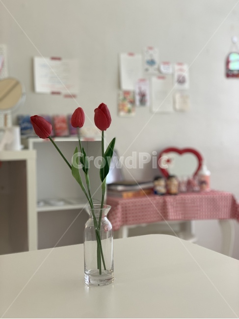 blossom,꽃,flower,tulip,튤립