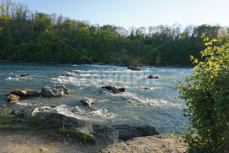 강,숲,나무,자연,풍경,물,배경화면,평화로운,자연,풍경,nature,landscape,water,outdoors,옥외,promontory,곶