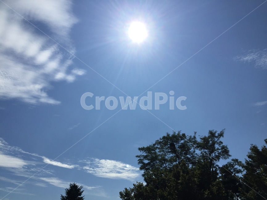 sunlight,햇빛,nature,자연,light,flare,플레어,outdoors,옥외,sky,하늘,자연,풍경,nature,landscape,빛