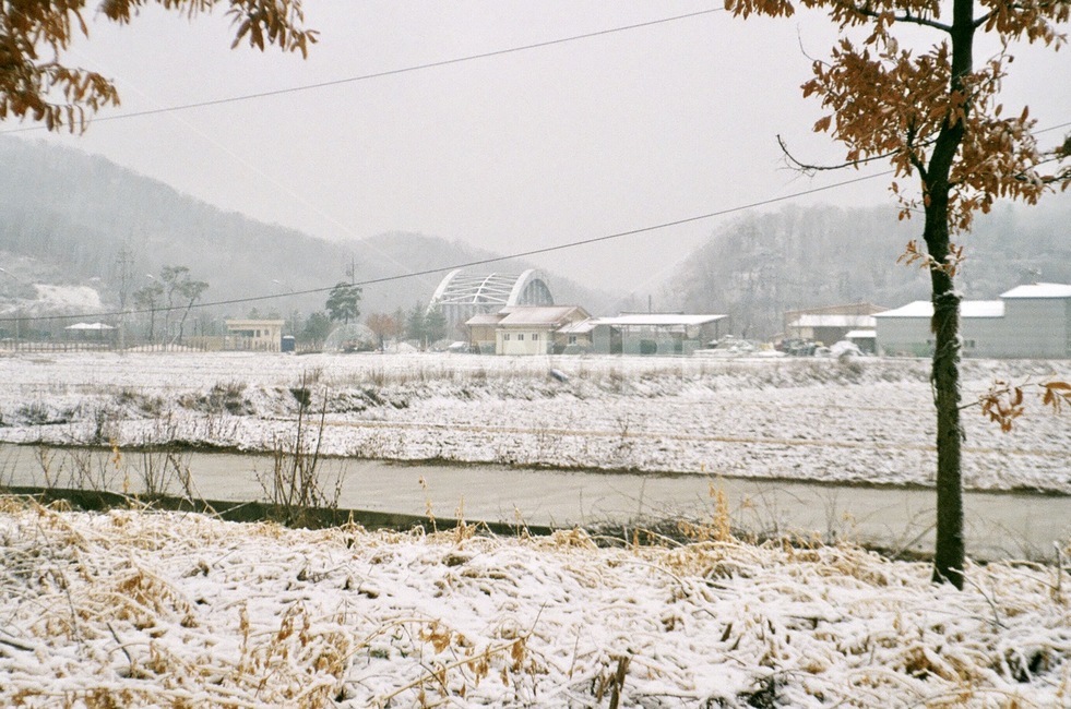 눈,겨울,tree,nature,snow,snowy,winter,풍경