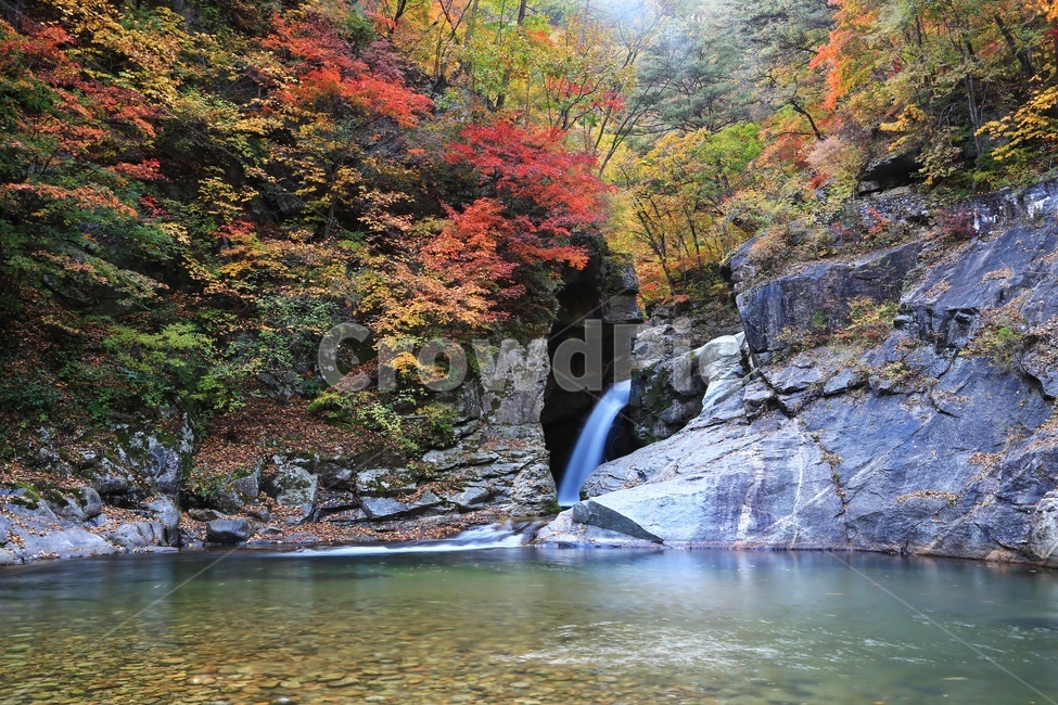 water,물,nature,자연,outdoors,옥외,waterfall,폭포,tree,나무,plant,식물,leaf,잎,stream,흐름,경치,경관,풍경,계곡,가을,만추,추색,강원도,인제,상남,용소폭포,상남용소폭포,상남가을,가을,계절,fall,autumn,season
