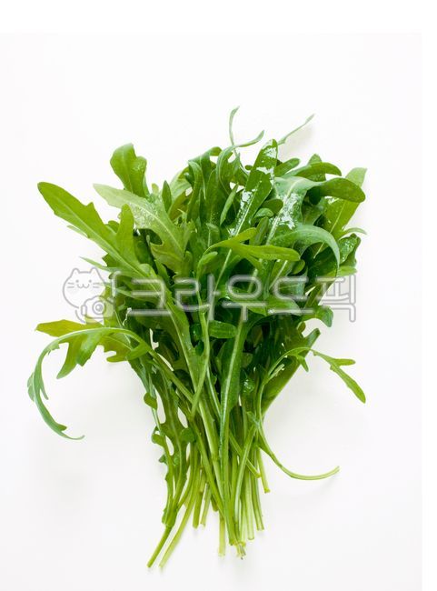 arugula,아루굴라,food,음식,채소,vegetable,음식,식재료,요리,food,cook,meal,dishes,food reserves