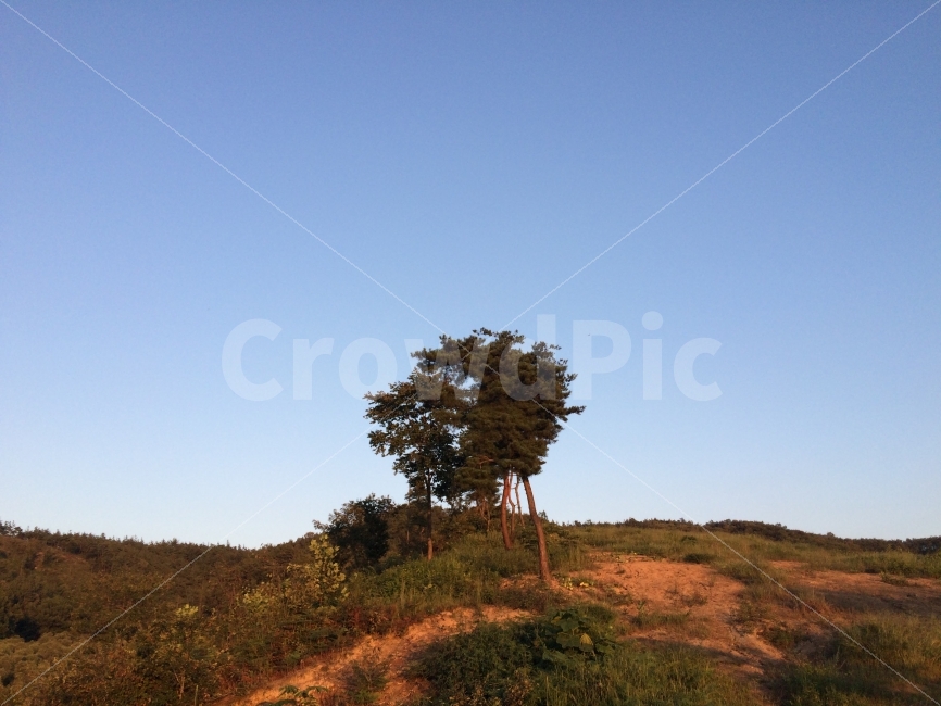 나무,노을,아이폰사진,풍경,감성,감성사진,아이폰으로찍다,자연,풍경,nature,landscape,outdoors,옥외,grassland,목초지,field,들,tree,plant,식물