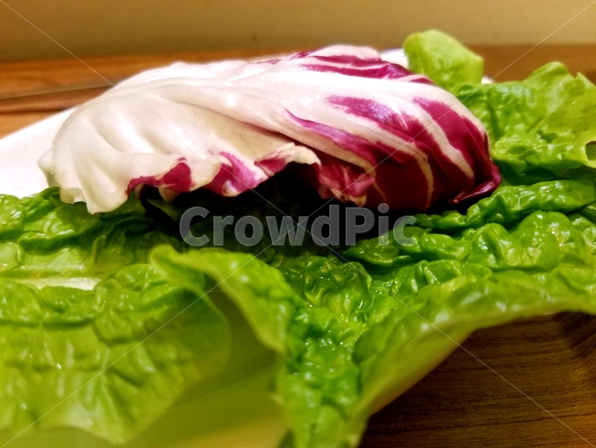 야채,상추,배추,음식,food