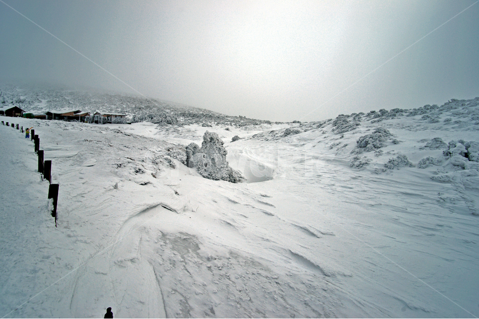 겨울산,한라산,설경,제주도,눈,설목,설화,한라산설경,윗세오름,어리목코스,겨울,계절,winter,season