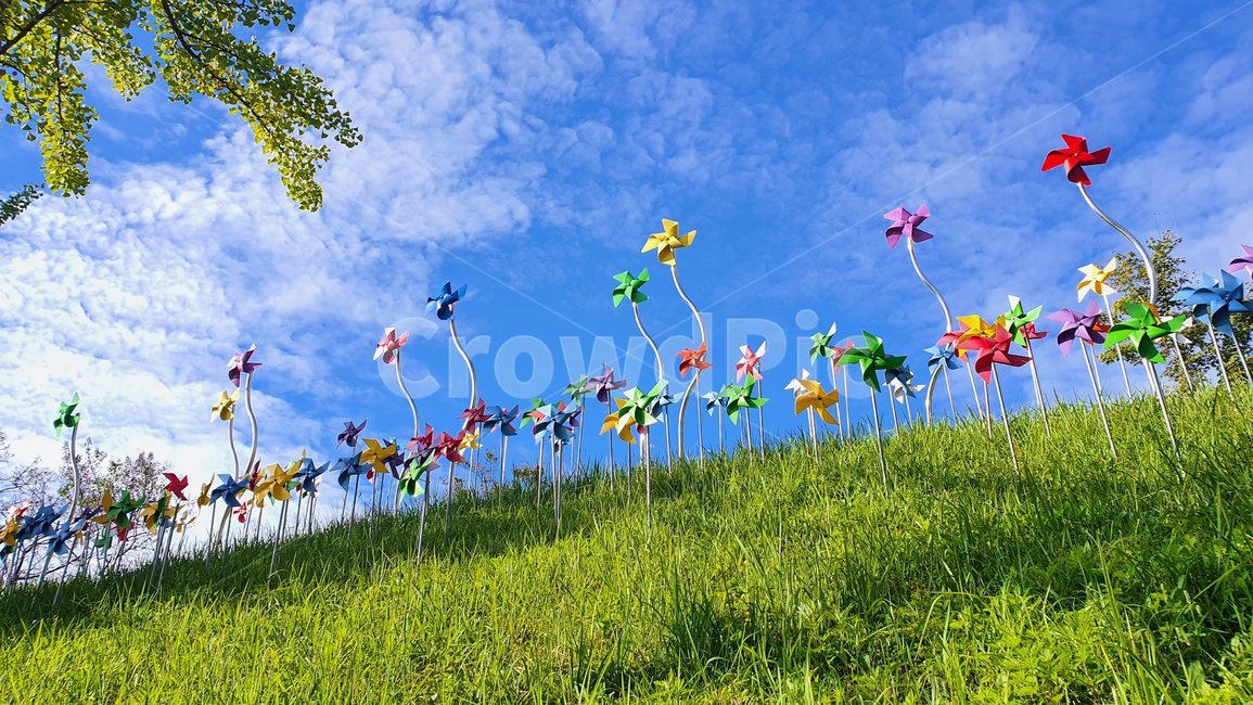 nature,자연,outdoors,옥외,들,field,grassland,countryside,목초지,meadow