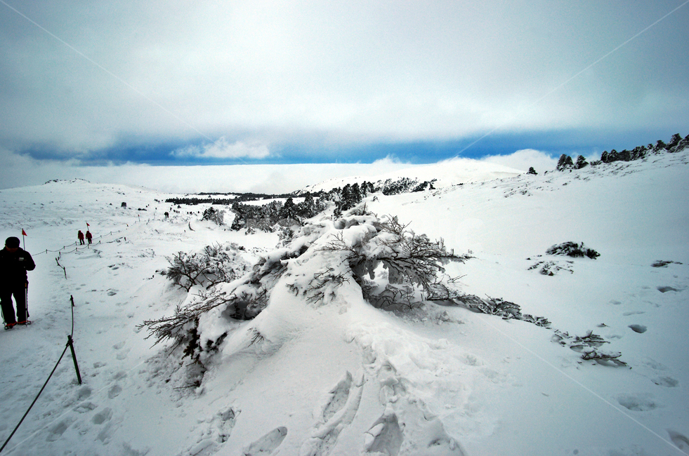 한라산,제주도,영실코스,설경,설화,겨울,등산객,등산,겨울,계절,winter,season