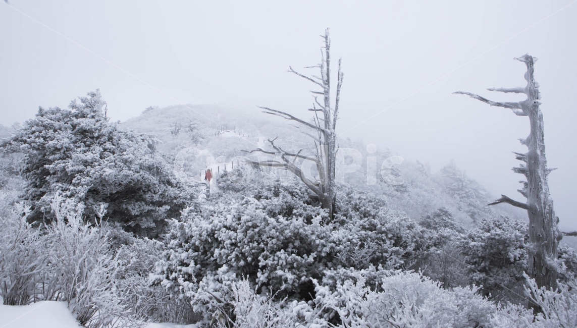 덕유산,흰눈,눈보라,겨울,등산,겨울,계절,winter,season,자연,풍경,nature,landscape,한국자연풍경,한국자연경관,korea nature landscape,outdoors,옥외,ice,얼음