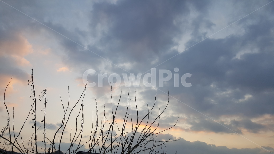 nature,weather,날씨,outdoors,옥외,자연,구름,노을
