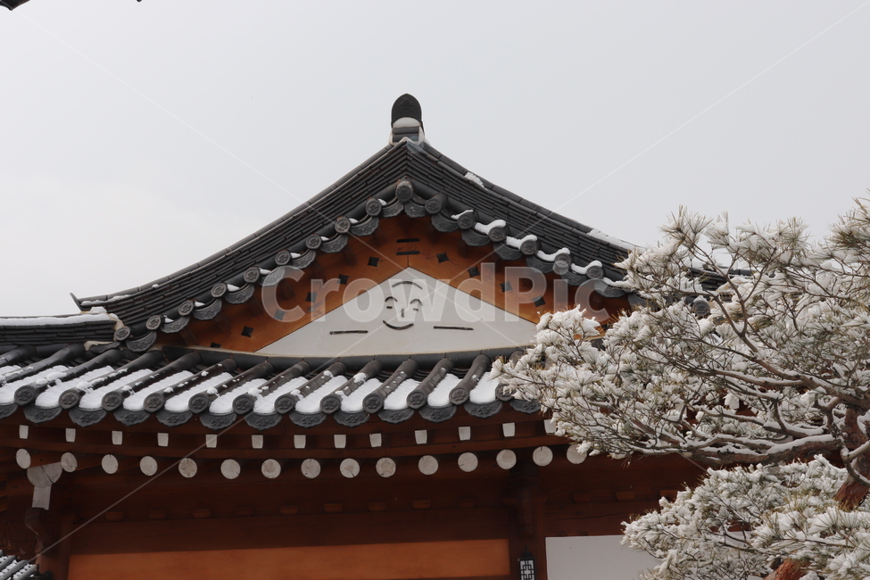 겨울한옥,한국전통,자연,snow,nature,식물,겨울,한국겨울,기와,겨울기와,한옥,전통한옥,겨울,계절,winter,season,한국전통,한국문화,korean traditional,korean culture