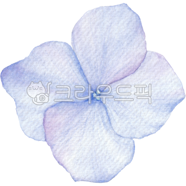 수국,수국꽃,수국꽃잎,꽃잎,수국그림,수국일러스트,수국수채화,수국꽃잎일러,수국꽃잎수채화,수국꽃잎디자인,꽃잎디자인,꽃잎그림,꽃잎일러스트,플로랄,플로랄디자인,보태니컬,flower,hydrangea,petal,floral,floraldesign