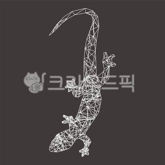 geometric pattern,chameleon,Lizard,snake,reptile,salamander,frog,Constellation,Gaeko,geometry,lizard