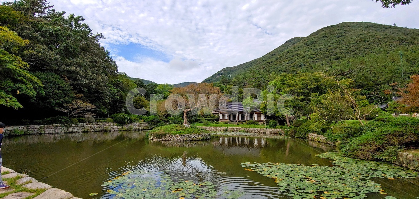 nature,자연,water,물,outdoors,옥외,한옥,연못,정원