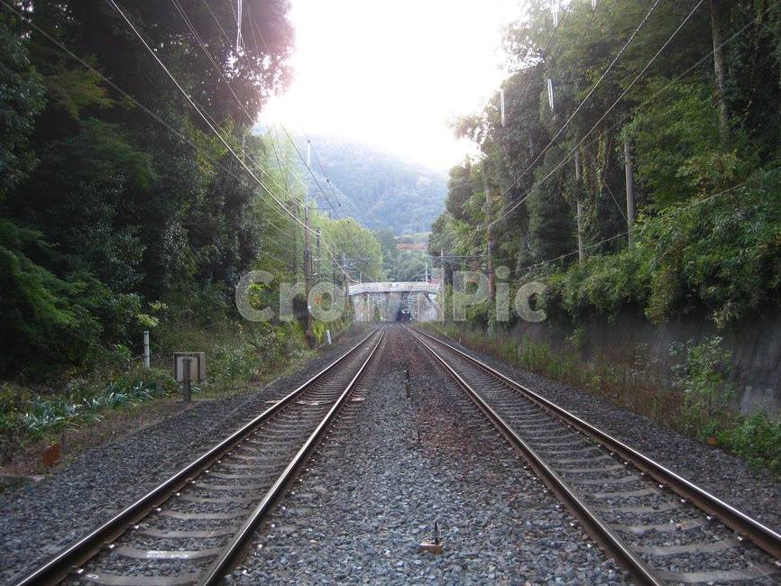기찻길,기차,rail,철도,train,railway,transportation,교통