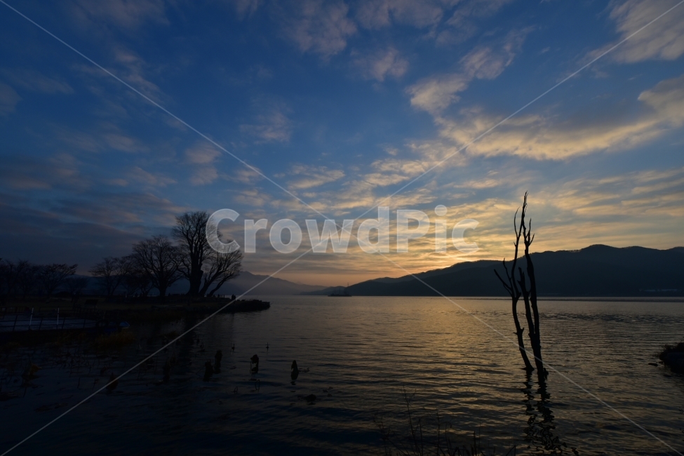 일출,강,구름,겨울,나무,자연,풍경,nature,landscape,한국자연풍경,한국자연경관,korea nature landscape,outdoors,옥외,water,물