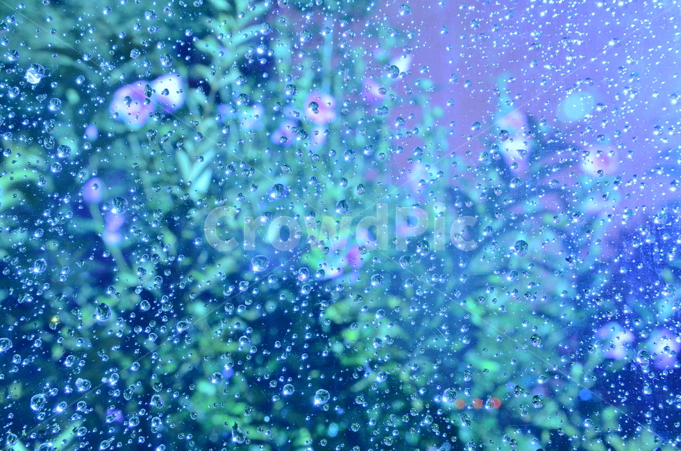 방울방울,물방울,빗물,빛방울,낙엽,가을,나뭇잎,ground,바닥,dirtroad,흙길,road,gravel,light,빛,반짝임,glitter,고독,감정,감성,디자인,필,느낌,분위기,서정,슬픔,우울,그리움,옛생각,회상,기억,추억,색감,칼라,블루톤,시안,디자이너,사보,카다로그웹,홈페이지,배너,팝업,모바일,콘텐츠,마케팅,오브젝트,이미지