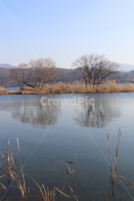 반영,나무,강,파랑,하늘,겨울,풍경,겨울,계절,winter,season,자연,풍경,nature,landscape,한국자연풍경,한국자연경관,korea nature landscape,water,물,outdoors,옥외,land,땅