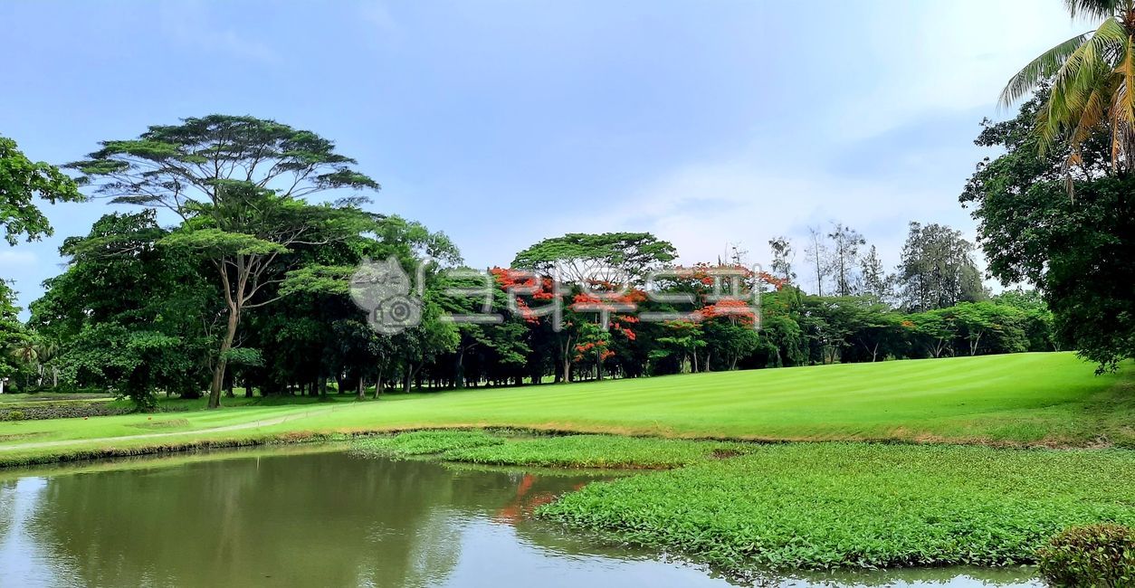 field,golf course,fairway,hazard,Indonesia Golf,golfcourse,Southeast Asia Golf