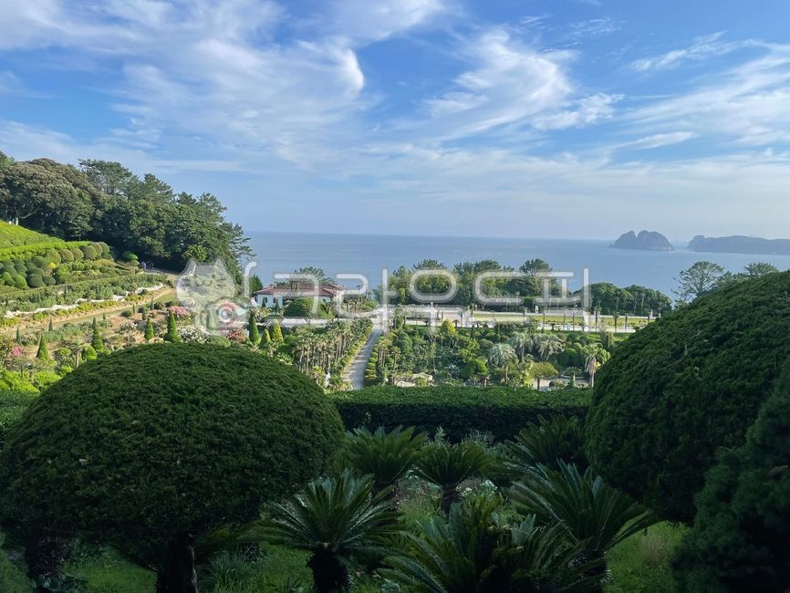 외도,보타니아,거제도,outdoors,자연,거제
