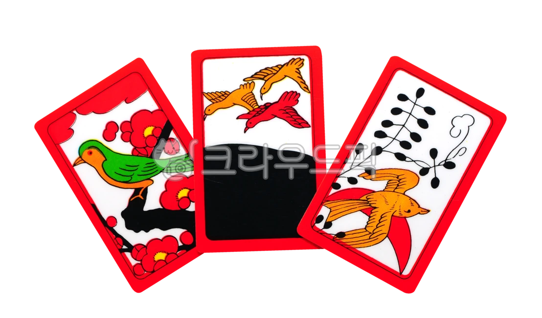 화투,고도리,게임,카드,노름,놀이,취미,행운,블랙,레드,game,card,play,chance,luck,bet,hobby,gambling,새