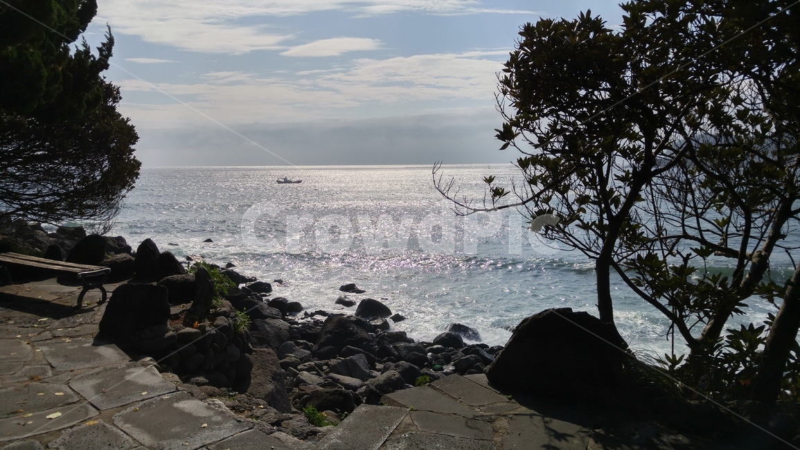 바다,water,연안,제주도,바닷가,land,자연,물,해안선,nature,ocean,sea,자연,풍경,nature,landscape