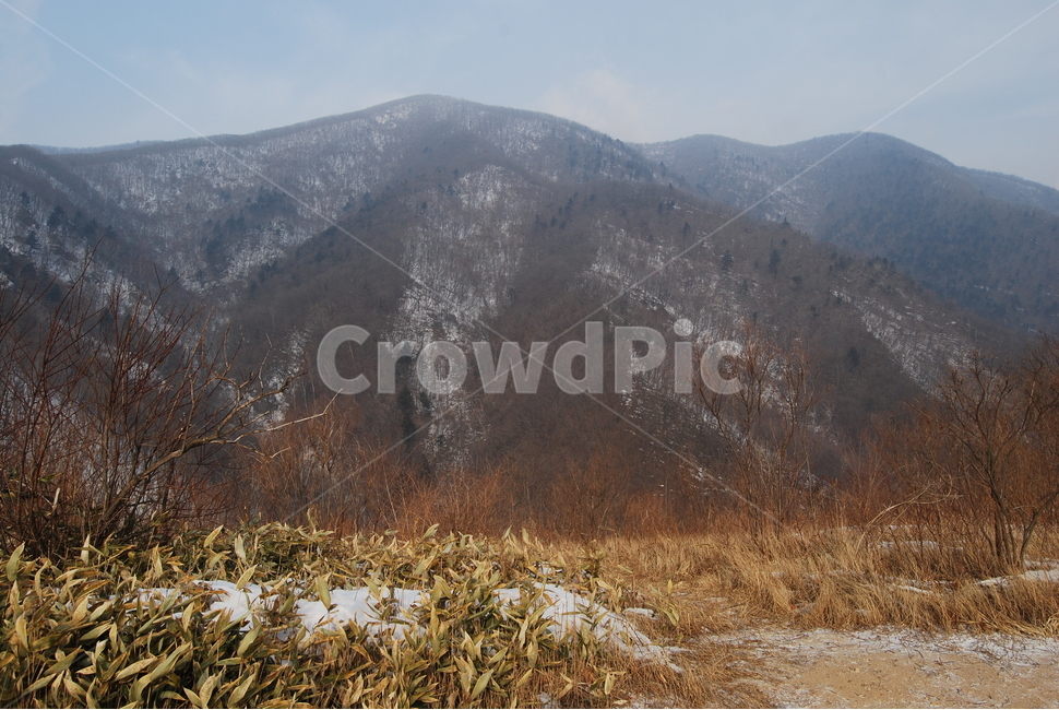 노인봉,오대산,100대명산,소금강,강원,산행,힐링,자연,감성,등산,계절,여행,한국,한국명산,한국등산,풍경,눈,나무,하늘,바람,바람소리,환경,생태계,산,땅,겨울,계절,winter,season,자연,풍경,nature,landscape,한국자연풍경,한국자연경관,korea nature landscape,outdoors,옥외,mountain range,산맥,mountain