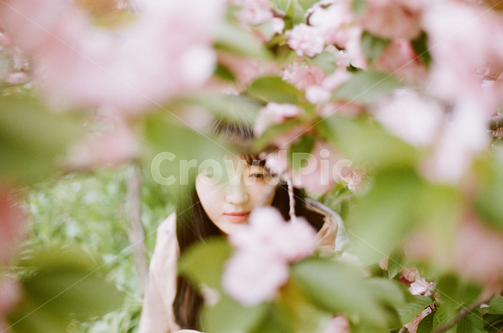 소녀,여자,자연,인물,감성,감성사진,분위기,혼자,girl,lady,nature,사람,women,korea,flower,파스텔,pastel,봄,구름,빛,햇살,인간,human,person,여성,female,sensible,feeling,휴식,힐링,rest,relaxation,healing,cherryblossoms,벚꽃,분홍,봄,계절,spring,season,사람,인물,인간,human,person,여성,여자,woman,female,lady,감성,sensible,feeling,plant,식물