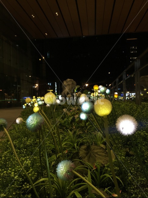 불빛,도시,밤,따뜻함,빛