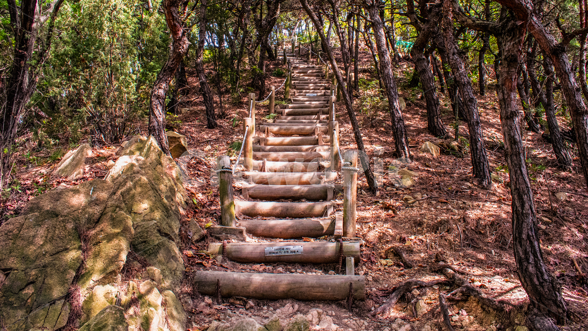 오솔길,등산로,계단,숲속길,둘레길,자연,풍경,nature,landscape,ground,바닥