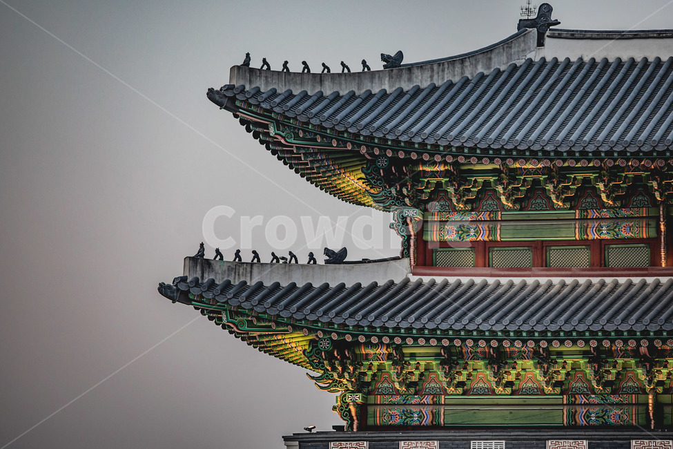 광화문,야경,서울,풍경,한국문화,한국전통,한국문화,korean traditional,korean culture,랜드마크,landmark,tourist attraction,한국랜드마크,한국관광지,한국명소,korea landmark,korea tourist attraction,건축물,건물외관,exterior,building,structure,architecture,construction