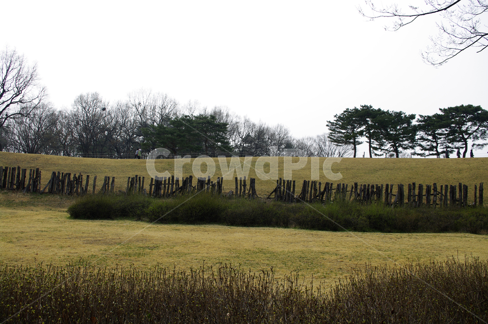 공원,나무,식물,plant,자연,nature,자연,풍경,nature,landscape,field,들,grassland,목초지,outdoors,옥외,grass,잔디